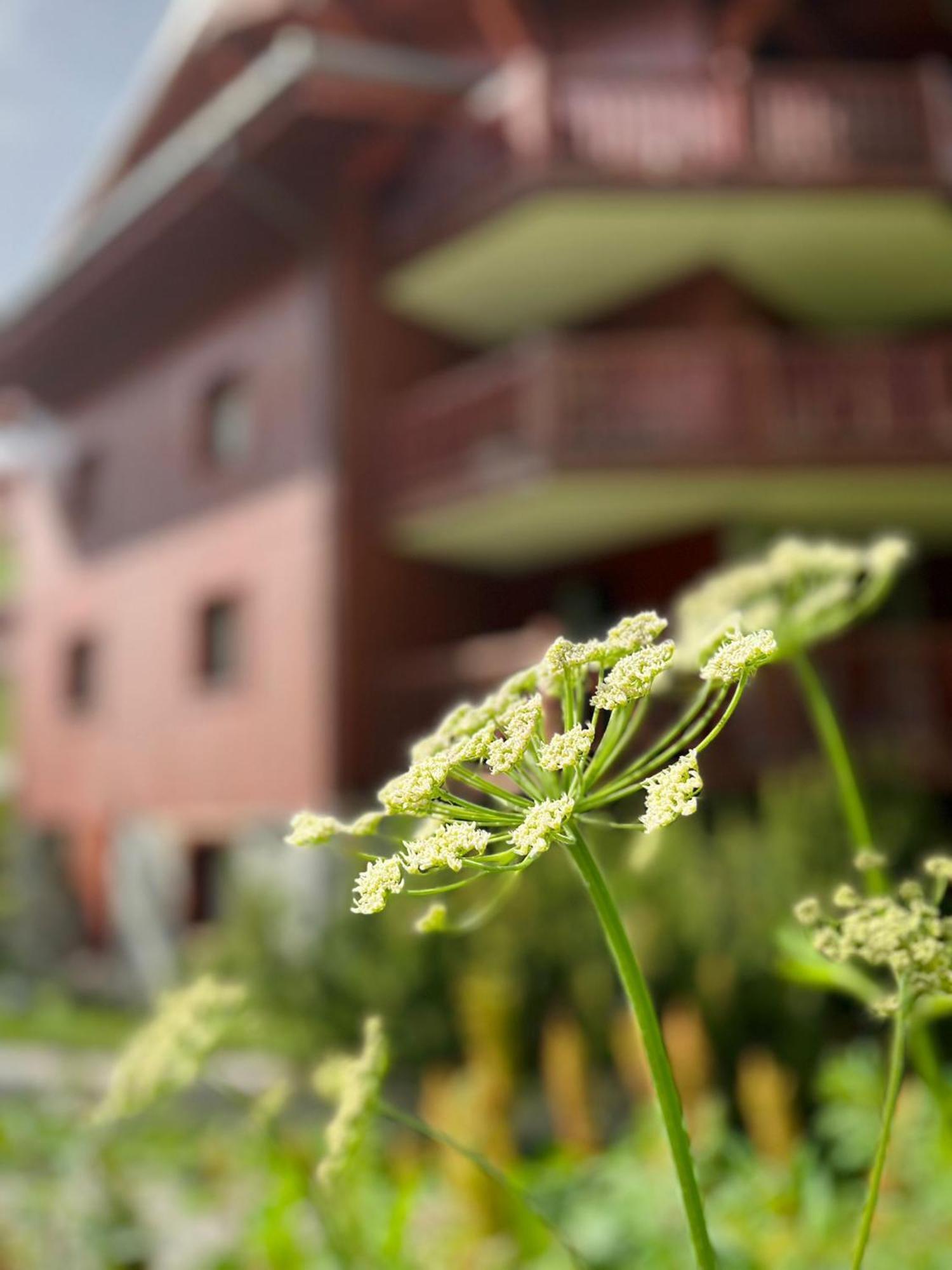 Appartments In Tignes Ecrin Des Neiges Luaran gambar
